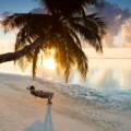 Benefits of staying in a private luxury villa