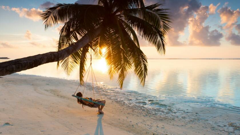 person swinging on hammock hanged on coconut tree near sea